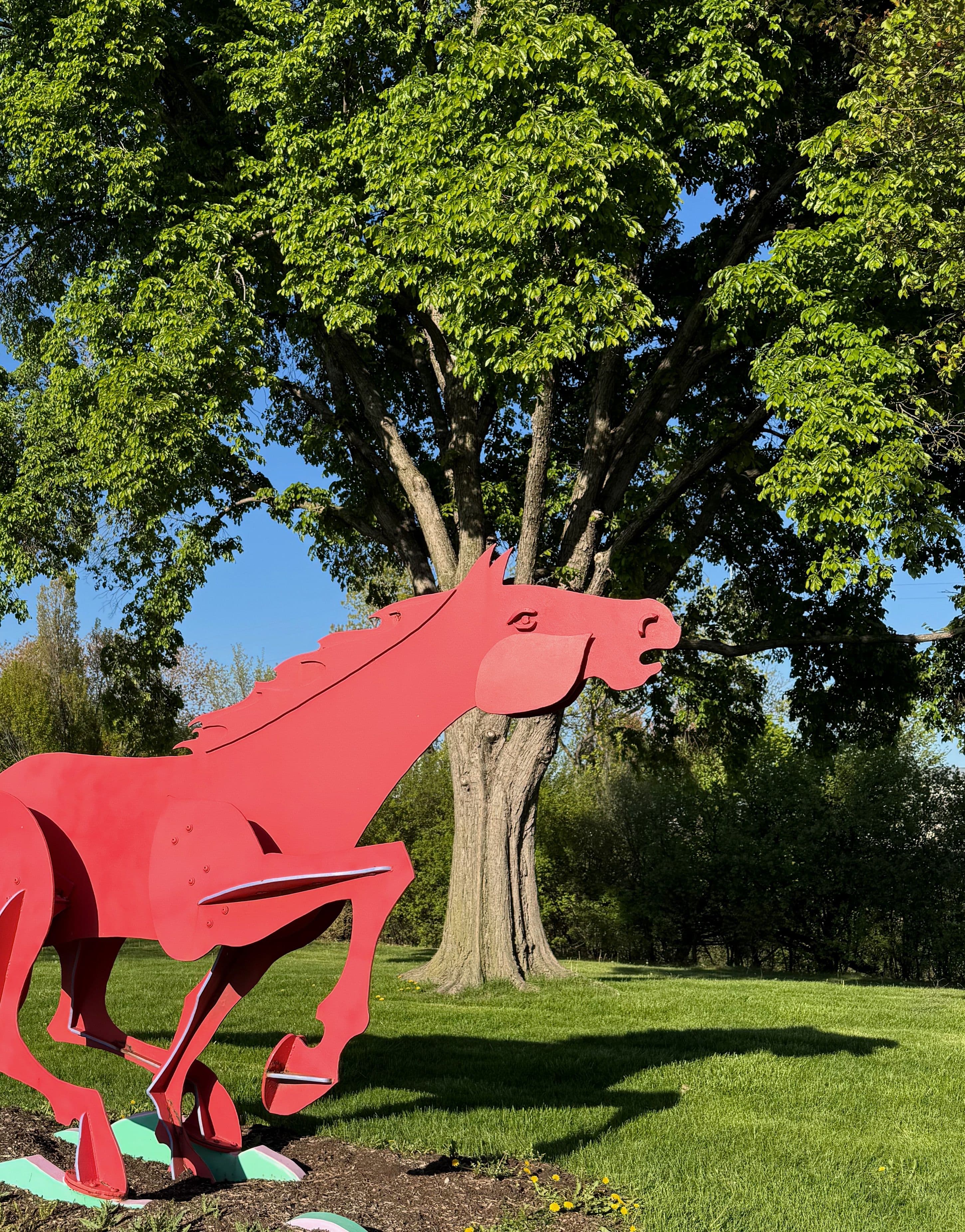 Red horse sculpture at Skokie Northshore Sculpture Park, photographed by El Dorado Creative Web Design Services