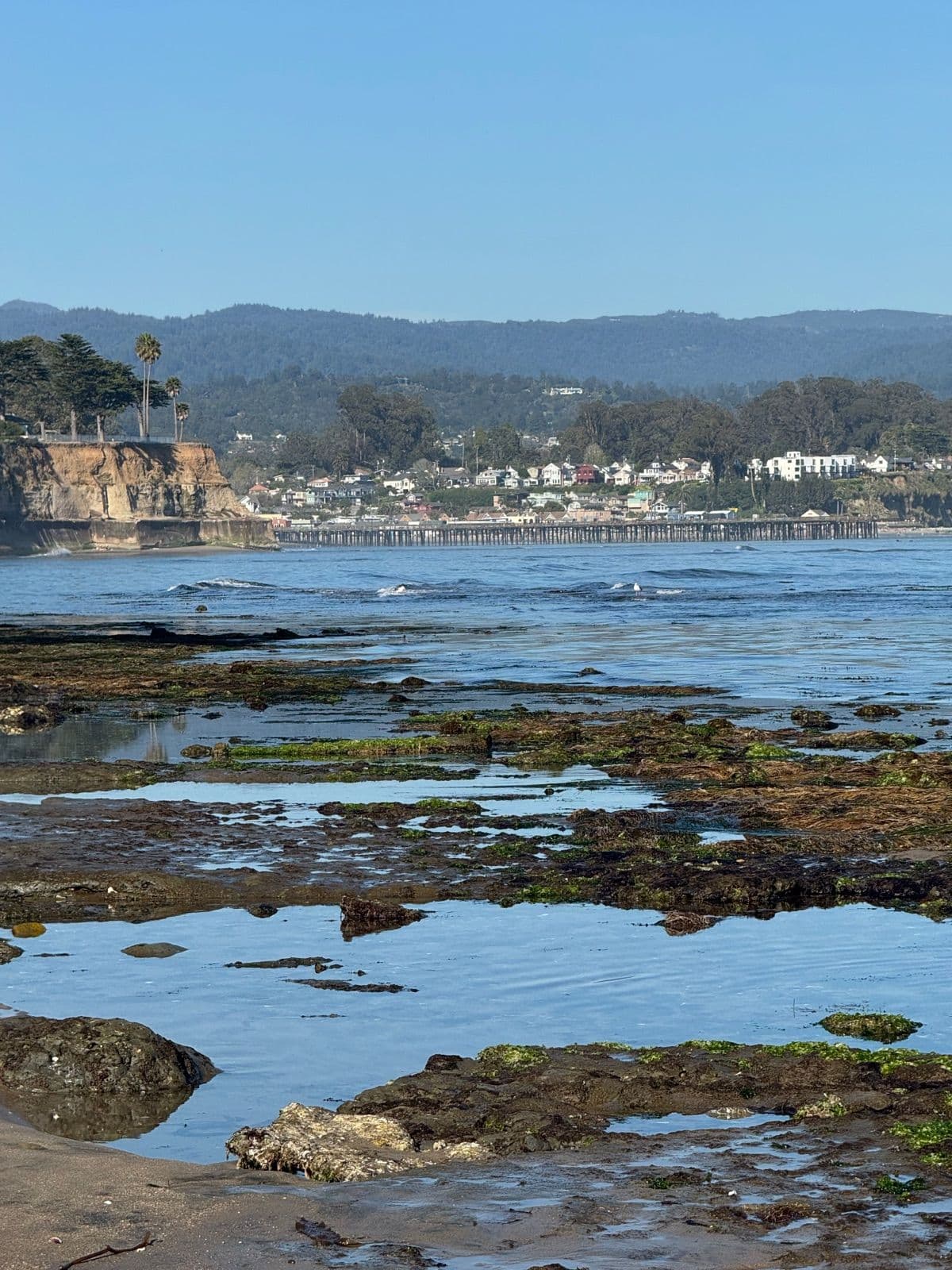 A view of Capitola Village and Wharf from Pleasure Point in Santa Cruz, CA. Photo by El Dorado Creative.