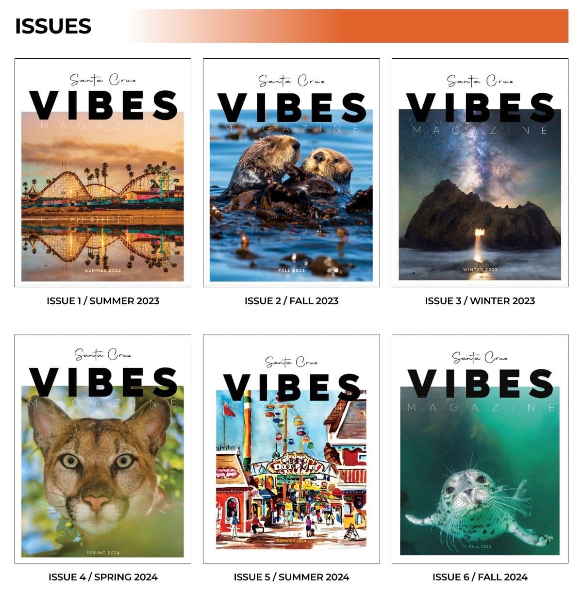 Issues Archive Page on Santa Cruz Vibes Magazine website